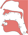 Thumbnail for version as of 09:20, 30 May 2026