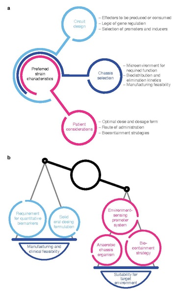 File:Considerations for the design of engineered live bacterial therapeutics.pdf