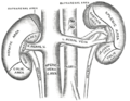 Thumbnail for version as of 17:28, 18 May 2026