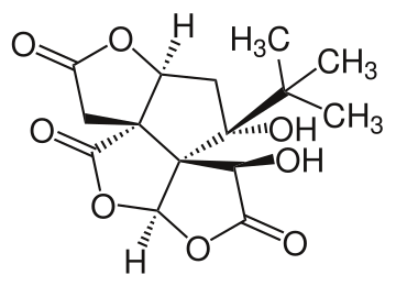 File:Bilobalide.svg