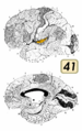 Thumbnail for version as of 19:20, 4 June 2026