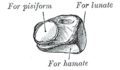 Thumbnail for version as of 17:28, 18 May 2026