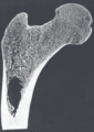 Thumbnail for version as of 17:28, 18 May 2026