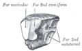 Thumbnail for version as of 17:28, 18 May 2026