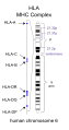 HLA
