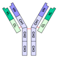 Thumbnail for version as of 19:20, 4 June 2026