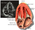 Thumbnail for version as of 03:20, 5 June 2026