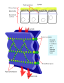 Thumbnail for version as of 03:34, 5 June 2026
