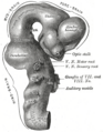 Thumbnail for version as of 17:28, 18 May 2026