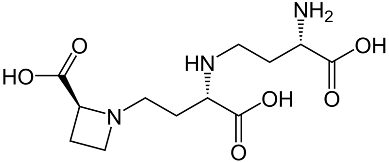 File:Nicotianamine.PNG