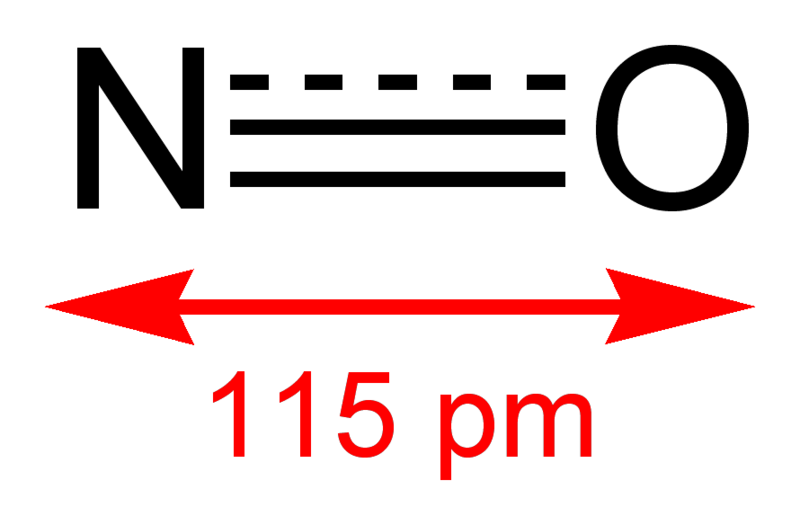 File:Nitric-oxide-2D.png