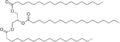 Thumbnail for version as of 19:04, 22 May 2026