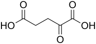 File:2-oxopentanedioic acid 200.svg