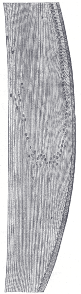 File:Gray887.png