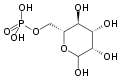 Mannose-6-phosphate
