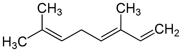 File:(E)-beta-ocimene.svg