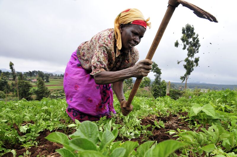 File:2DU Kenya 86 (5367322642).jpg