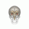 Thumbnail for version as of 02:11, 7 June 2026