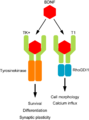 Thumbnail for version as of 22:28, 8 June 2026