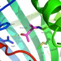 Thumbnail for version as of 02:13, 7 June 2026