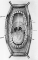 Thumbnail for version as of 22:25, 8 June 2026