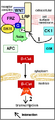 Thumbnail for version as of 03:40, 2 June 2026