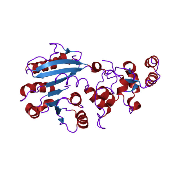 File:1g55 structure.png