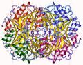 Thumbnail for version as of 02:06, 7 June 2026