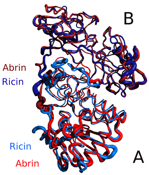 File:Alignment Abrin Ricin.png