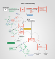Thumbnail for version as of 03:32, 5 June 2026