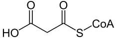 File:Malonyl-CoA2.svg