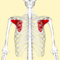 Thumbnail for version as of 22:43, 7 June 2024