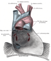 Thumbnail for version as of 17:28, 18 May 2026