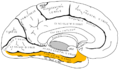 Thumbnail for version as of 03:36, 5 June 2026