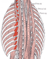 Thumbnail for version as of 13:40, 23 May 2026