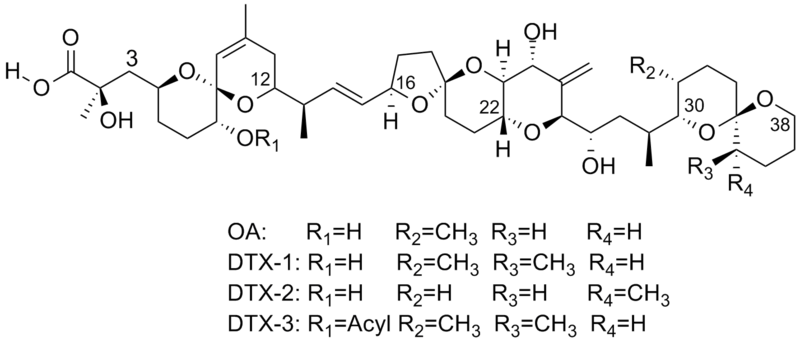 File:OAandDTXStructures.png