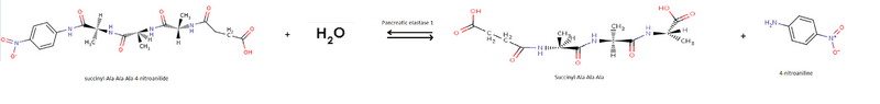 File:Reaction catalysed by pancreatic elastase1.png
