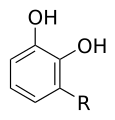 Thumbnail for version as of 11:32, 19 May 2026