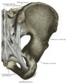 Thumbnail for version as of 03:47, 18 May 2026