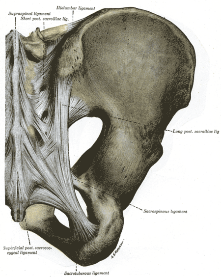 File:Gray320.png