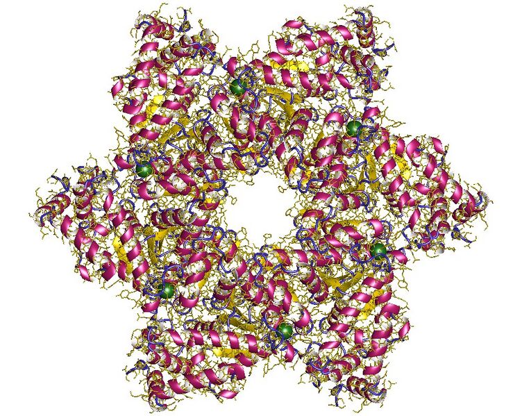 File:1n25.jpg