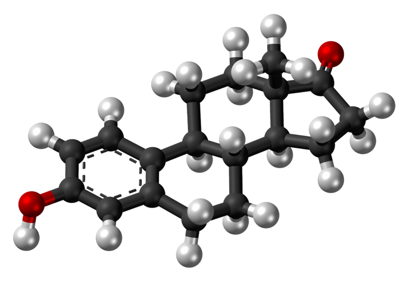 File:Estrone molecule ball.png