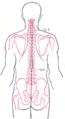 Thumbnail for version as of 17:28, 18 May 2026
