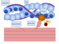 Thumbnail for version as of 22:26, 8 June 2026