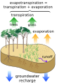 Surface water cycle