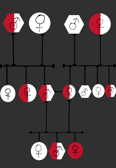 File:Autosomal recessive inheritance, pedigree example.png