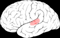 Thumbnail for version as of 03:34, 5 June 2026
