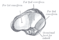 Thumbnail for version as of 17:28, 18 May 2026