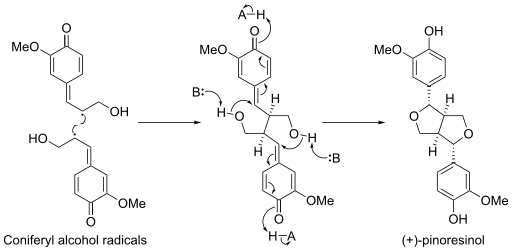 File:(+)-Pinoresinol Biosynthesis.svg