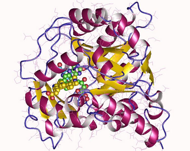 File:6cjf.jpg